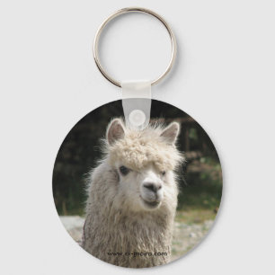 Llavero Alpaca, Parque Llaviucu, Ecuador