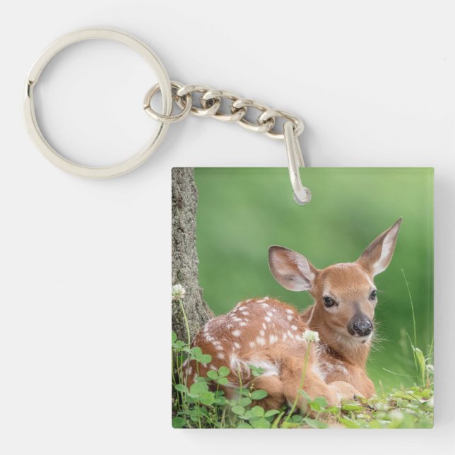 Llavero Amanecer Adorable tendido bajo un árbol (Frente)