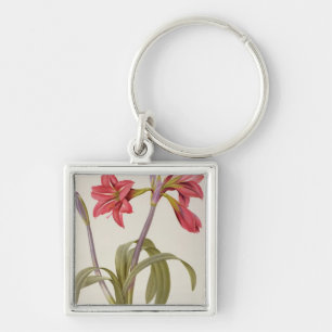 Llavero Amaryllis Brasiliensis