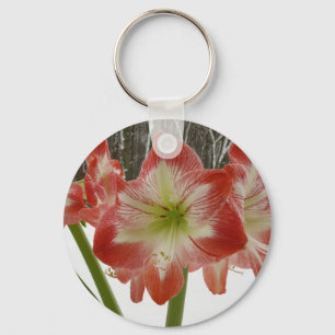 Llavero Amaryllis en floral de invierno en la nieve roja f