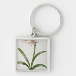 Llavero Amaryllis Vittata