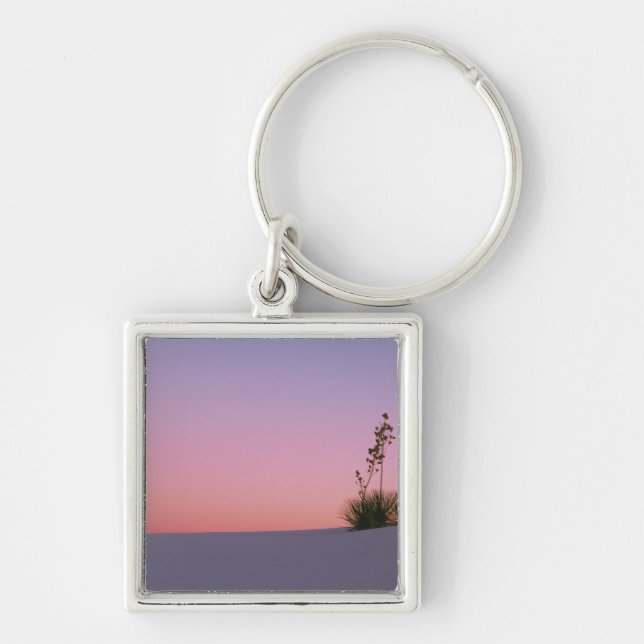 Llavero América del Norte, América, Nuevo México, Blanco (Frente)