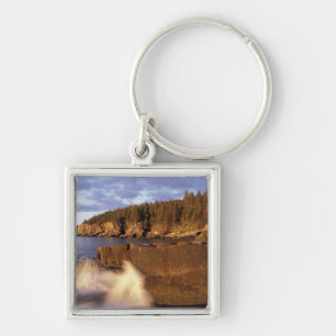 Llavero América del Norte, EE.UU., la costa rocosa de Mai