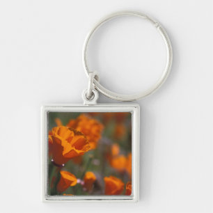 Llavero América del Norte, Estados Unidos, California, An