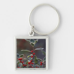 Llavero América del Norte, Estados Unidos, Nueva Inglater