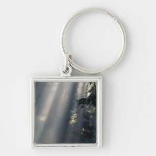 Llavero América del Norte, Estados Unidos, Washington, Ol