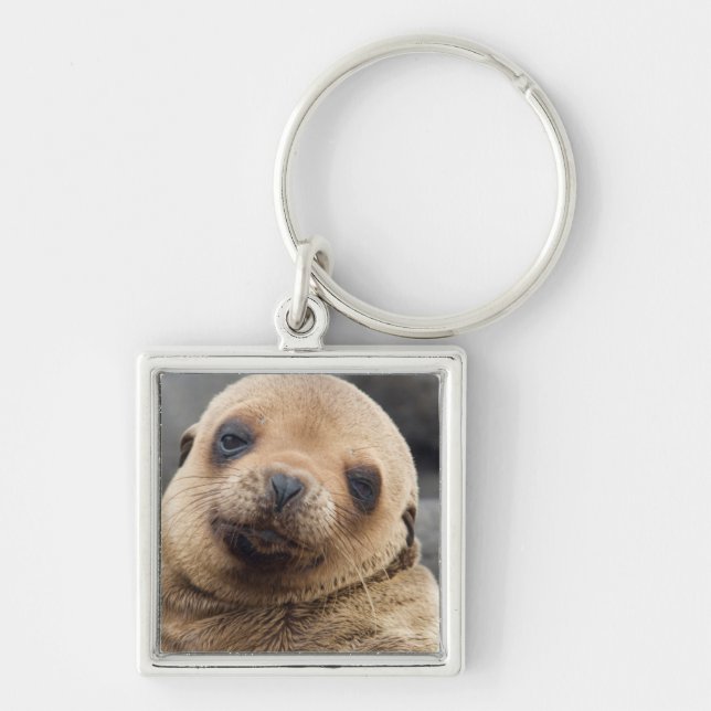 Llavero América del Sur, Ecuador, Islas Galápagos (Frente)