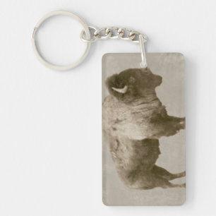 Llavero American Bison
