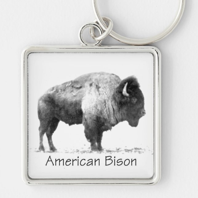 Llavero American Bison (Frente)