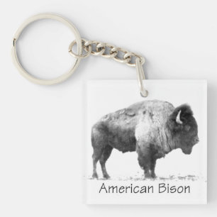 Llavero American Bison