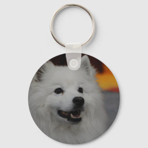 Llavero American Eskimo Dog Keychain