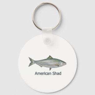 Llavero American Shad (titulado)