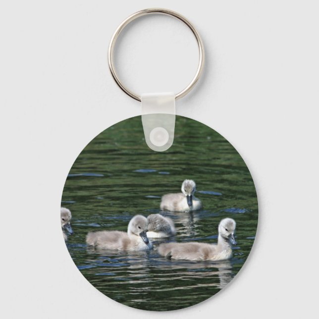 Llavero Amigos de la nadada (Anverso)