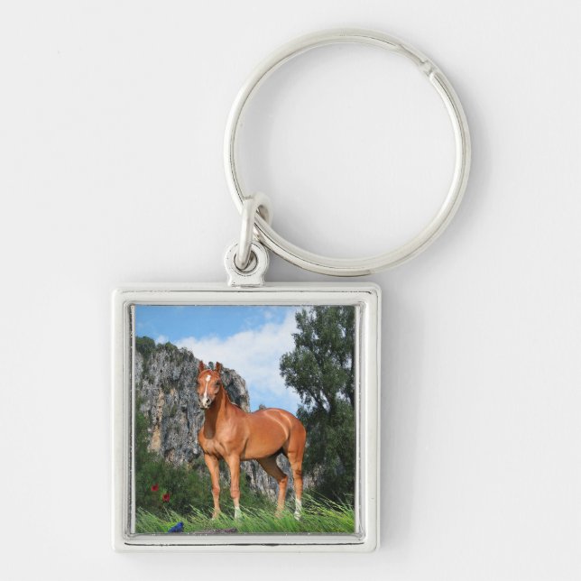 Llavero Amo los Caballos (Frente)