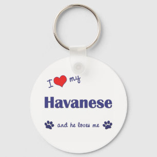 Llavero Amo mi Havanese (el perro masculino)