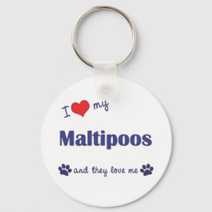 Llavero Amo mi Maltipoos (los perros múltiples)
