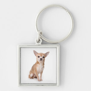 Llavero Amo Perro cachorro Chihuahua