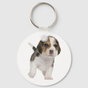 Llavero Amor de Cachorro Beagle