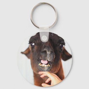 Llavero Amor de Llama