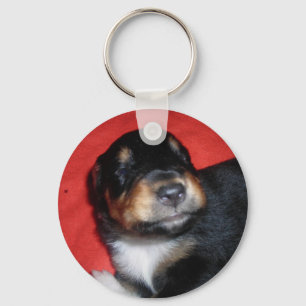 LLAVERO AMOR DE PUPPY