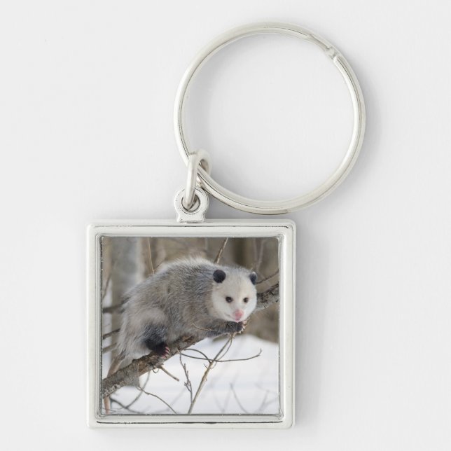 Llavero Amor opossum (Frente)