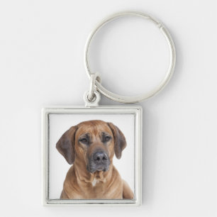 Llavero Amor Rhodesian Ridgeback Puppy Perro Keychain