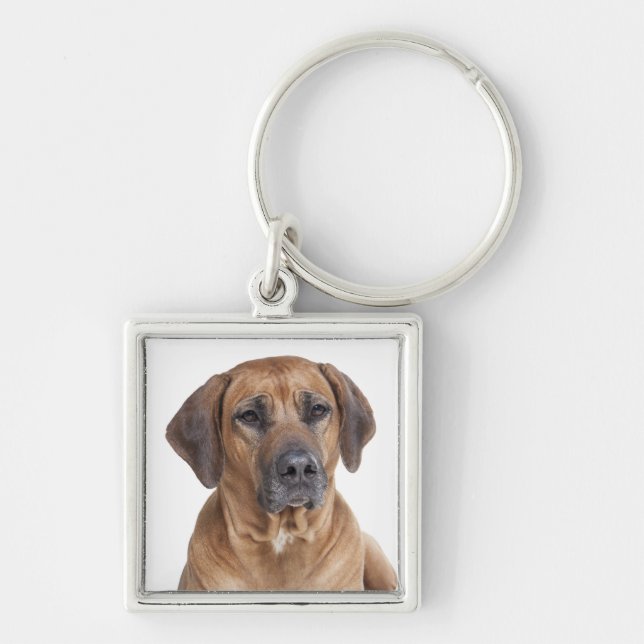 Llavero Amor Rhodesian Ridgeback Puppy Perro Keychain (Frente)