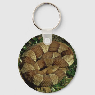 llavero amplio-congregado de la serpiente del