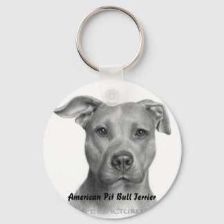 Llavero AMPT Key chain