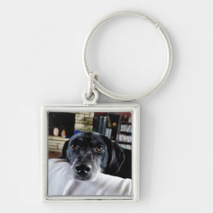 Llavero Añadir la foto de su perro a esto
