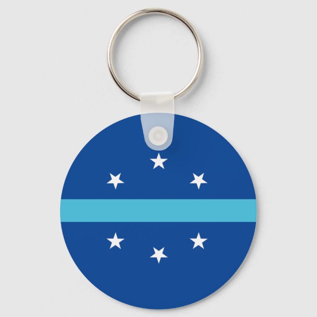 Llavero Anaheim (California) City Flag Keychain (Anverso)
