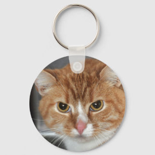 Llavero anaranjado del gato de Tabby de Shorthair