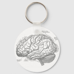Llavero Anatomía cerebral vintage