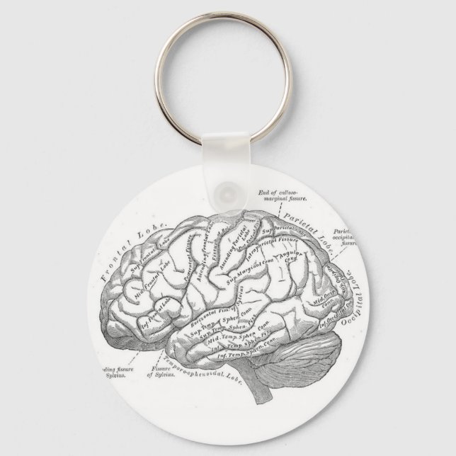 Llavero Anatomía cerebral vintage (Anverso)