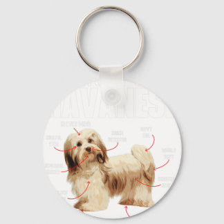 Llavero Anatomía De Un Havaneser Havanezer Cubano-Havanese