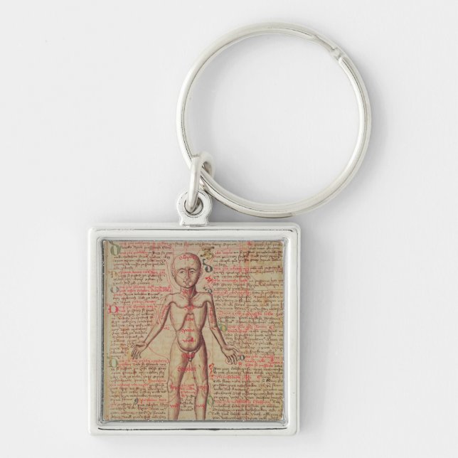 Llavero Anatomía del cuerpo humano (Frente)