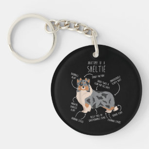 Llavero Anatomía del Shetland Sheepdog Blue Merle Sheltie,