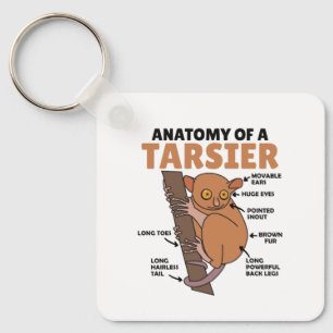 Llavero Anatomía Tarsera Cuta De Una Explicación Tarsier