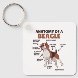 Llavero Anatomy Of A Beagle Cute Dogs Funny Dog Beagle