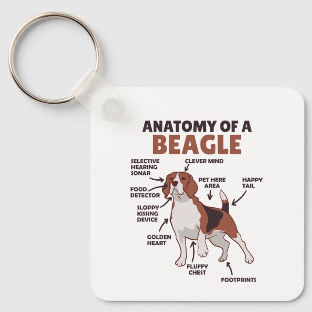 Llavero Anatomy Of A Beagle Cute Dogs Funny Dog Beagle (Anverso)