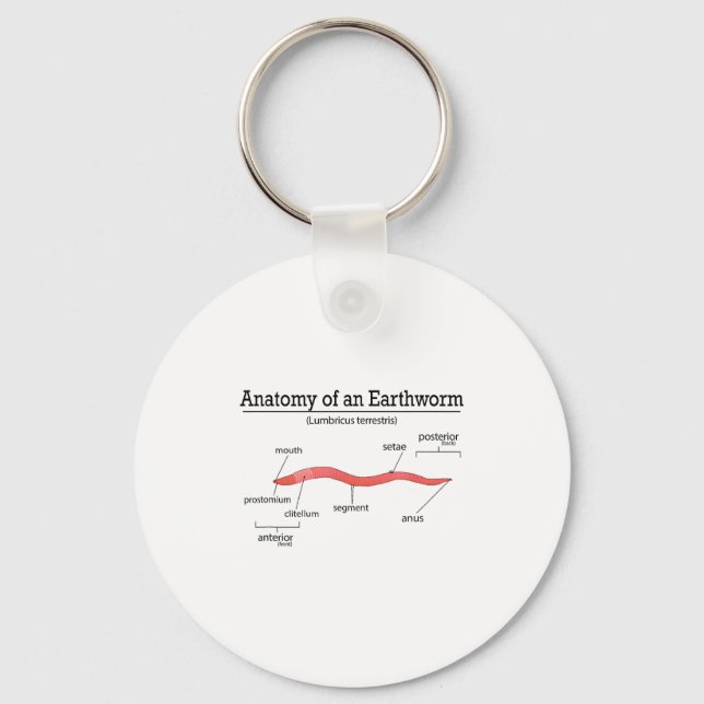 Llavero Anatomy Of An Earthworm Funny Worm Earthworm Lover (Anverso)