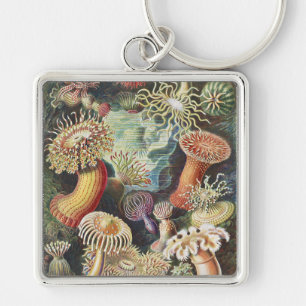 Llavero Anémonas de Mar de Haeckel Arte Náutico de Vida Ma
