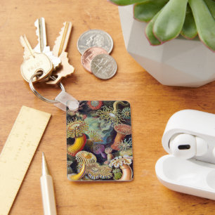 Llavero Anémonas marinas submarinas vintage de Ernst Haeck