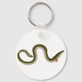Llavero Anguila anguilla