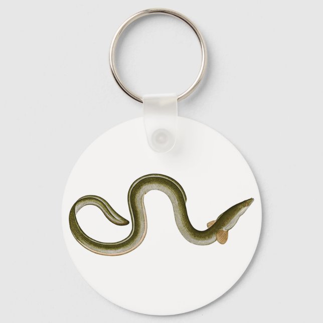 Llavero Anguila anguilla (Anverso)