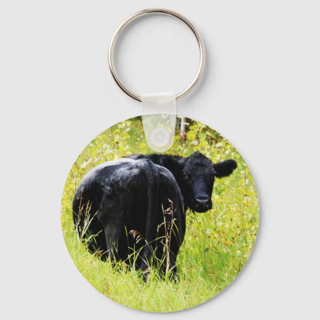 Llavero Angus Steer in Tall Yellow Grass (Anverso)