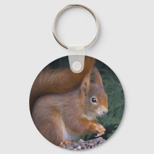 Llavero Anillo de claves de Brunch de nuez