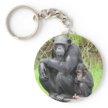 Anillo de claves de chimpancé