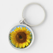 Anillo de claves de girasol