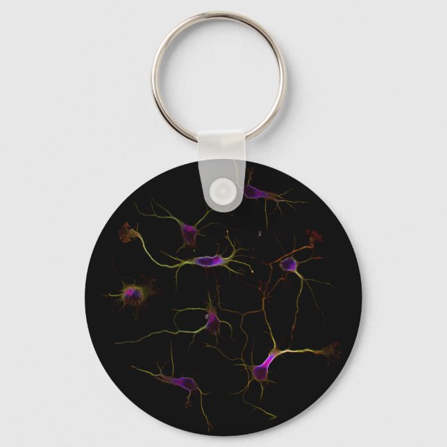 Llavero Anillo de claves de NeuronRoots (Anverso)